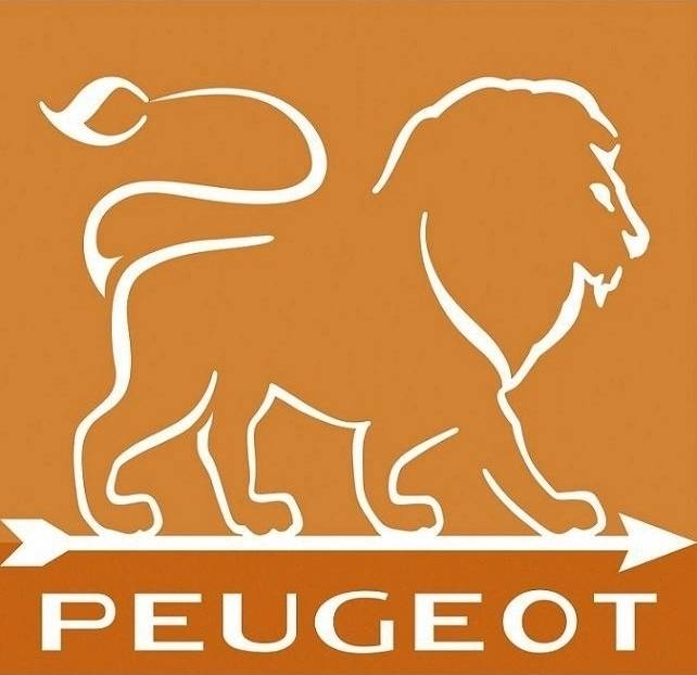 Peugeot Nancy Mlýnek pepř 38 cm akryl