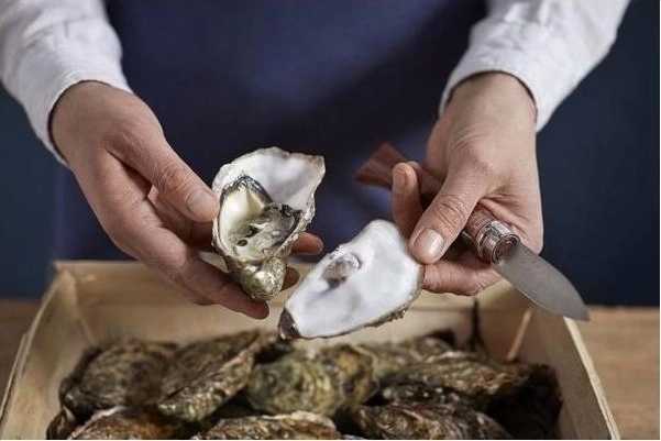 Opinel The Gourmets Zavírací nůž na ústřice a korýše 6,5 cm N°09 THE GOURMETS