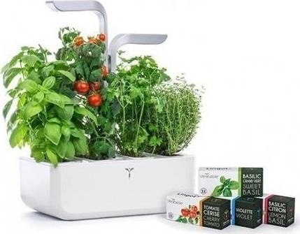 Véritable Lingot® BIO Pažitka pro chytré květináče VÉRITABLE®