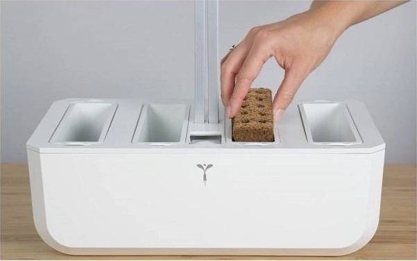 Véritable Lingot® BIO Koriandr pro chytré květináče VÉRITABLE®