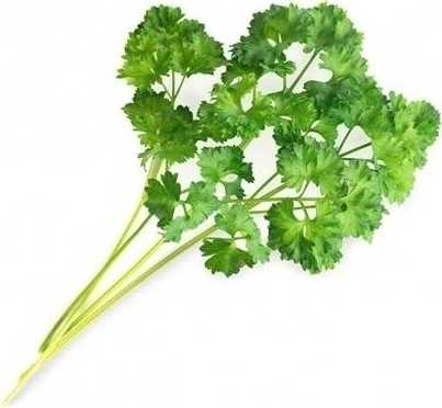 Véritable Lingot® BIO Petržel kadeřavá pro chytré květináče VÉRITABLE®