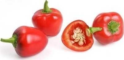 Véritable Lingot® BIO Mini červená paprika pro chytré květináče VÉRITABLE®