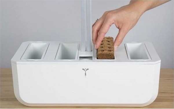Véritable Lingot® BIO Bazalka Citrónová pro chytré květináče VÉRITABLE®