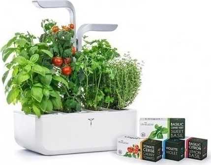 Véritable Lingot® BIO Bazalka Citrónová pro chytré květináče VÉRITABLE®