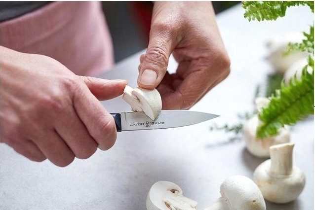 Opinel Intempora Nůž na zeleninu N°225 Intempora, 8 cm