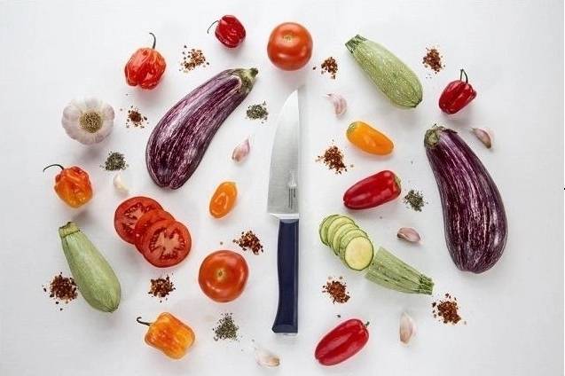 Opinel Intempora Kuchařský nůž N°217 Intempora, 17 cm