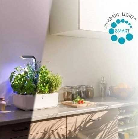 Véritable Connect Chytrý květináč Infinity Grey CONNECT + 4 náplně LINGOT®