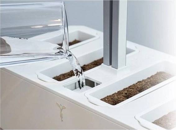 Véritable Chytrý květináč CLASSIC + 4 náplně LINGOT®