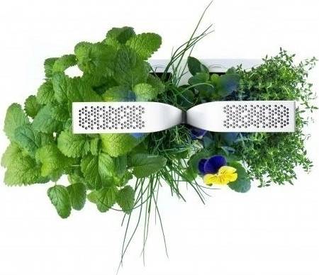 Véritable Chytrý květináč CLASSIC + 4 náplně LINGOT®