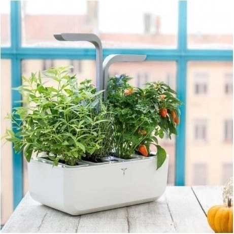 Véritable Chytrý květináč bílá SMART + 4 náplně LINGOT®