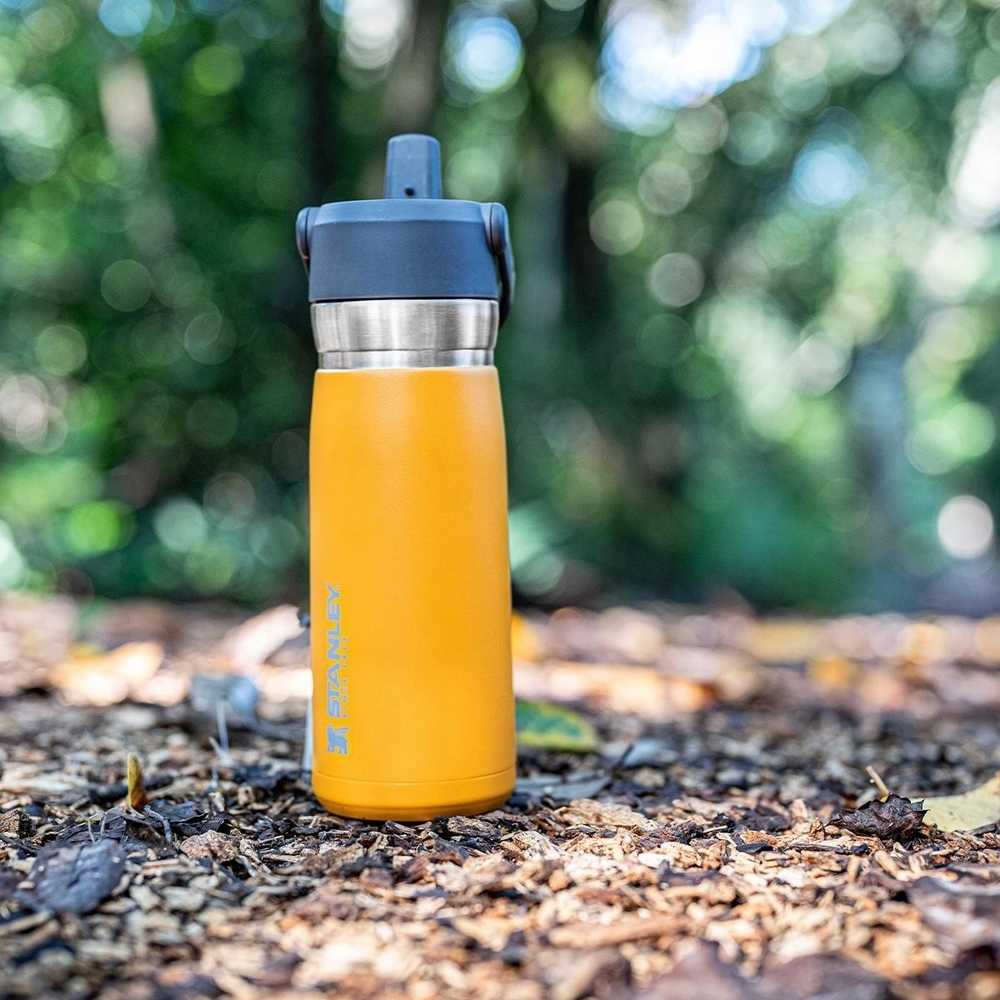 Stanley Flip Straw Vakuová láhev , 650 ml, Saffron