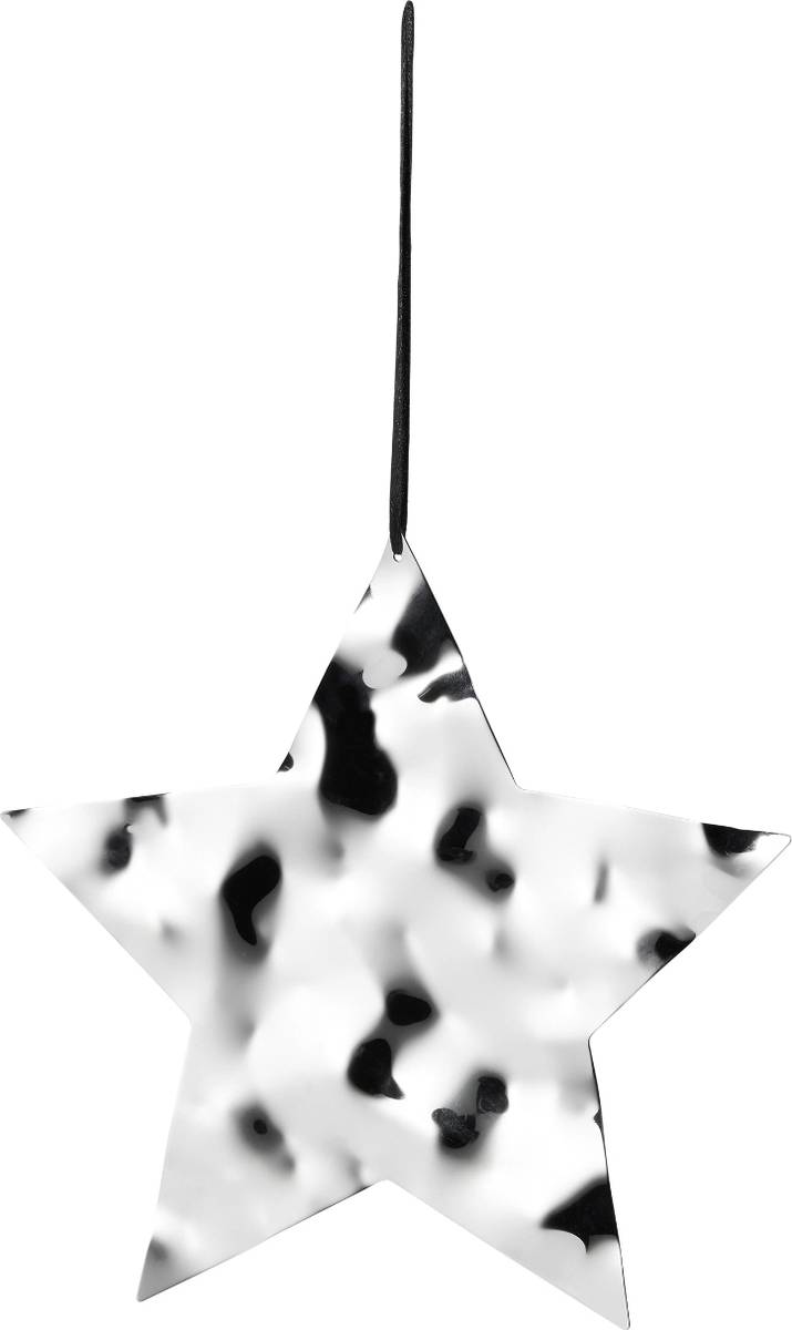 Philippi Aqua Vánoční ozdoba velká hvězda, stříbrná