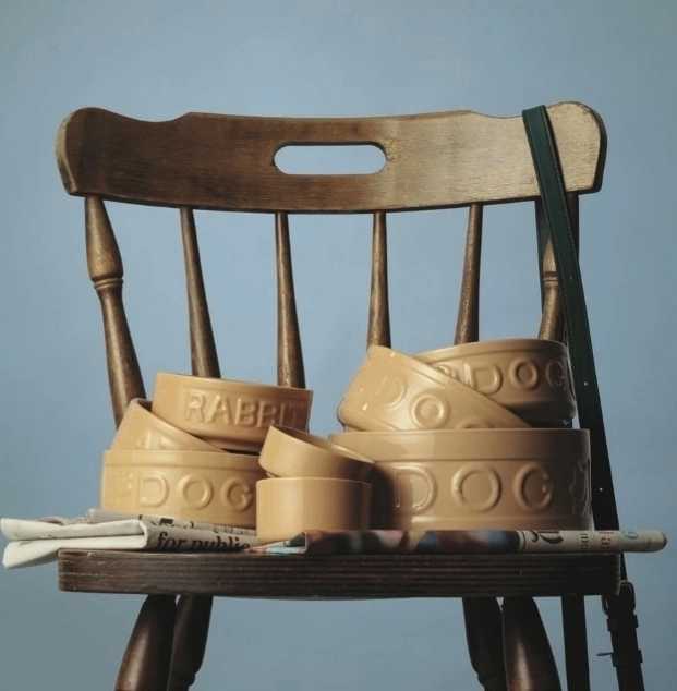 Mason Cash Pet Cane Cat Miska pro kočky s nápisem Ø 13 cm , světle hnědá