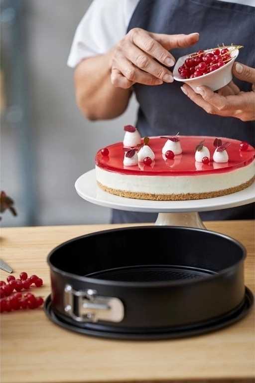 Blomsterbergs Dortová forma kulatá 24x7,6cm