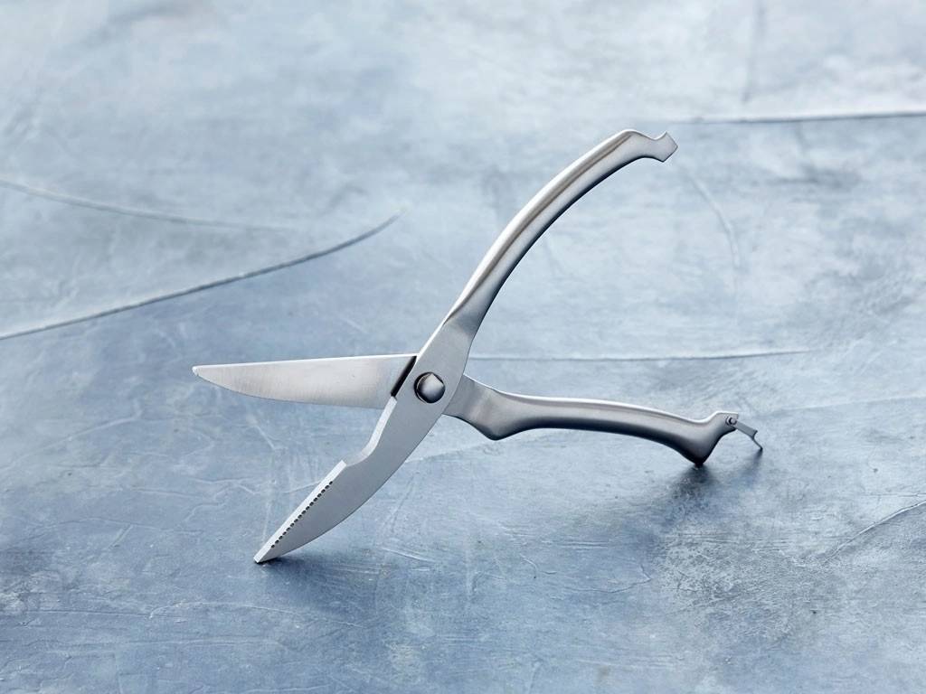 Holm Nůžky na drůběž