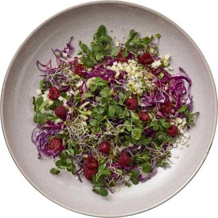 Bitz Servírovací mísa 40cm grey/light pink