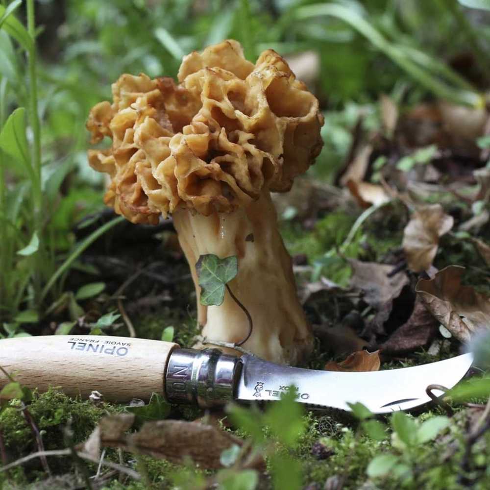 Opinel Stainless Steel Houbařský nůž N°08 Stainless Steel, 7.6 cm, blistr