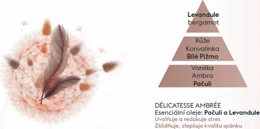 Maison Berger Paris Sada elektrický Difuzér s budíkem Night & Day + kapsle Aroma Dream – Jemná ambra