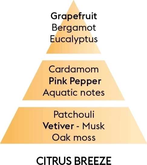 Maison Berger Paris Náplň do Difuzéru Citrusový vánek, 200 ml