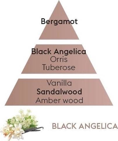 Maison Berger Paris Vůně do auta Duality Černá Angelika