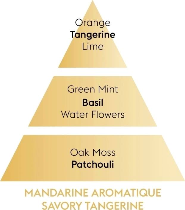 Maison Berger Paris Aroma Difuzér do auta Revelry s keramickou náplní Voňavá mandarinka