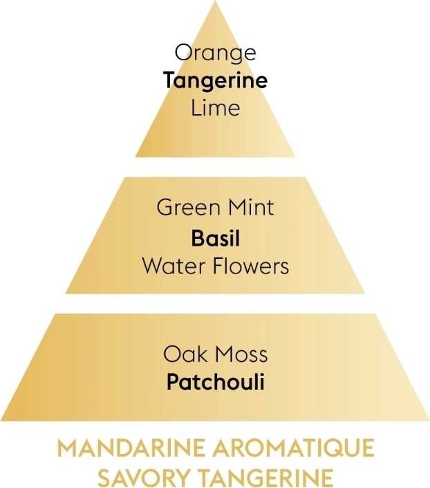 Maison Berger Paris Aroma Difuzér do auta Revelry s keramickou náplní Voňavá mandarinka