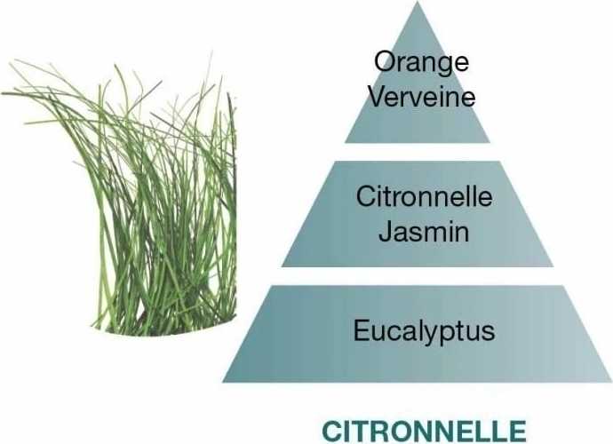 Maison Berger Paris Aroma Difuzér Cube, Proti komárům – Citronella 125 ml