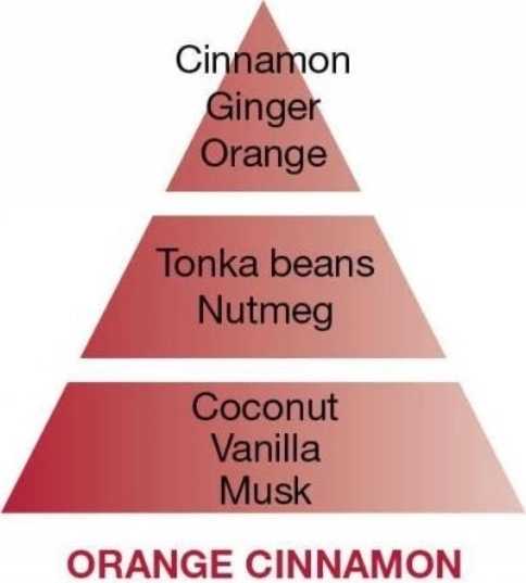 Maison Berger Paris Aroma Difuzér Cube, Pomeranč a skořice 125 ml