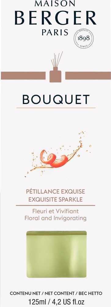 Maison Berger Paris Aroma Difuzér Cube, Intenzivní třpyt 125 ml