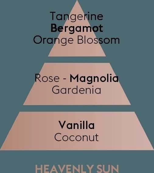 Maison Berger Paris Keramická náplň vůně do auta Božské slunce, 2 ks