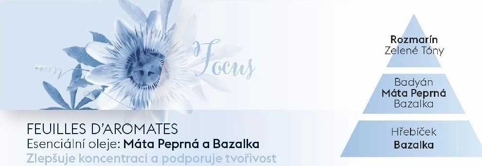 Maison Berger Paris Keramická náplň vůně do auta Aroma Focus – Aromatické listí, 2 ks