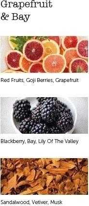 Cereria Mollá Vonné tyčinky Grapefruit & Bay, 20 ks