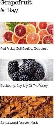 Cereria Mollá Aroma difuzér Grapefruit & Bay 0,1 l, černý