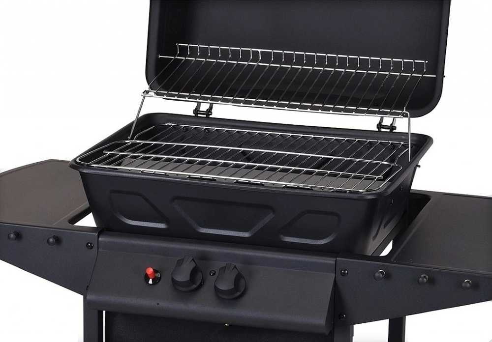 Progarden Plynový gril VAGGAN PRO 2 hořáky