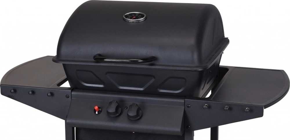 Progarden Plynový gril VAGGAN PRO 2 hořáky