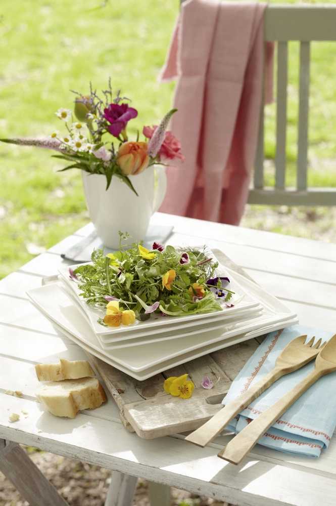 Maxwell & Williams East meets West Talíř, East meets West, 23 cm