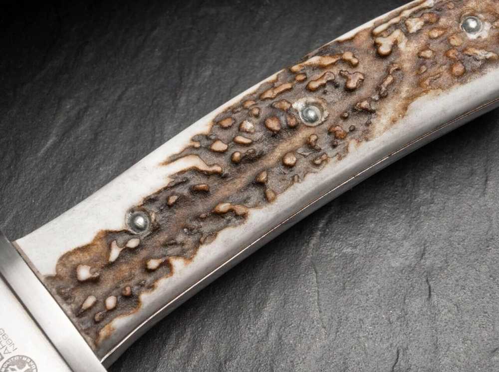 Böker Arbolito Nůž lovecký Arbolito Esculta Stag