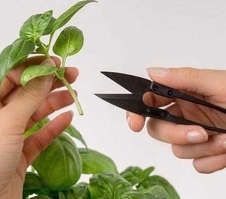 Véritable Mini nůžky na sklízení bylinek