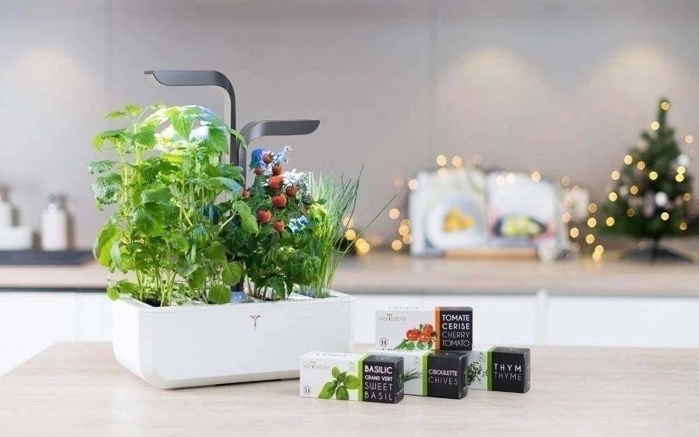 Véritable Lingot s BIO semeny jalapeno chili papriček pro chytré květináče