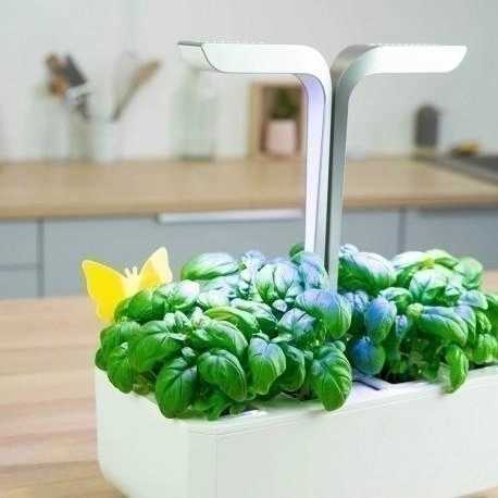 Véritable Lepové šipky na polétavé škůdce , 8 ks