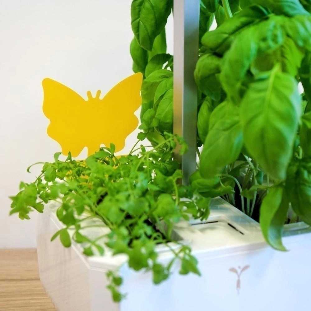 Véritable Lepové šipky na polétavé škůdce , 8 ks