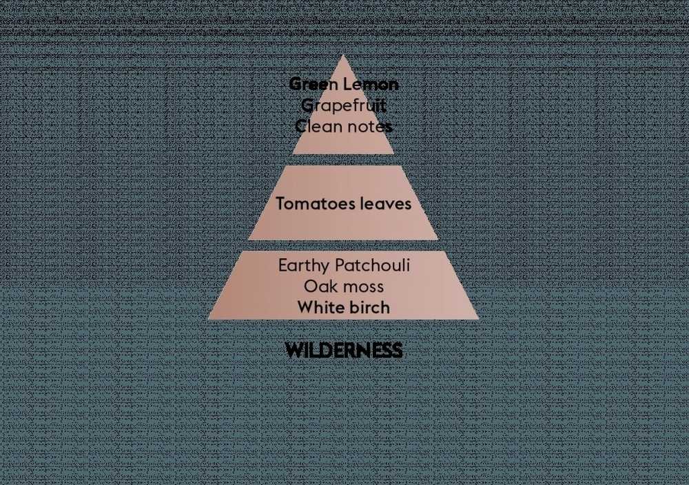Maison Berger Paris Dárková sada: katalytická lampa June + Divočina, 250 ml