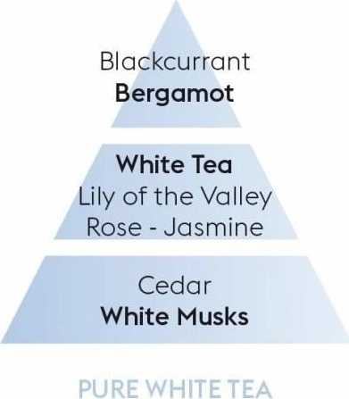 Maison Berger Paris Land svíčka Čistý bílý čaj, 180 g