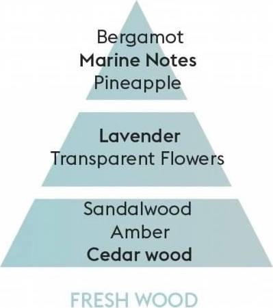 Maison Berger Paris Clarity svíčka Čerstvé dřevo, 180 g