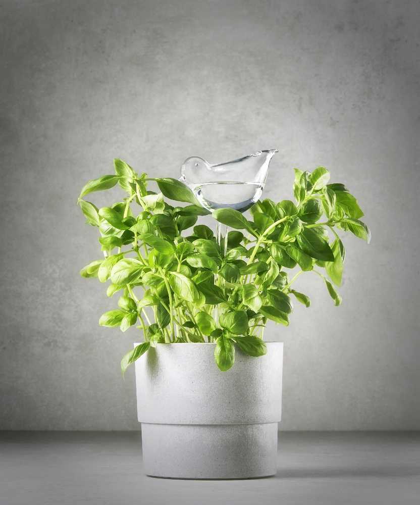 Philippi Samozavlažovací květináč s ptáčkem