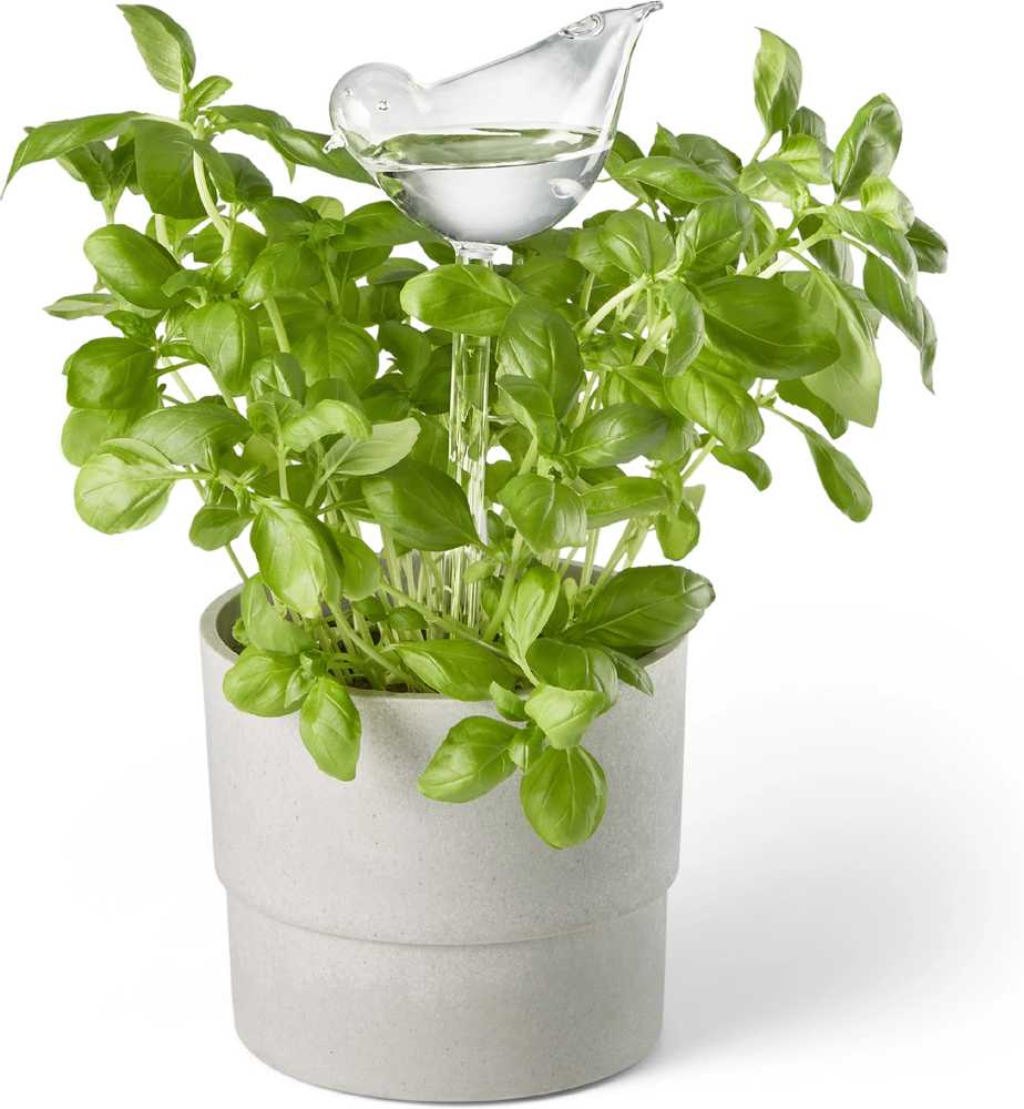 Philippi Samozavlažovací květináč s ptáčkem