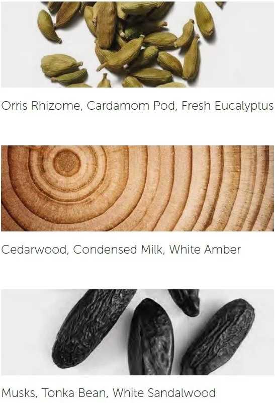 Cereria Mollá CERERIA MOLLA Boutique vonné tyčinky Santal & Tonka 20ks černé