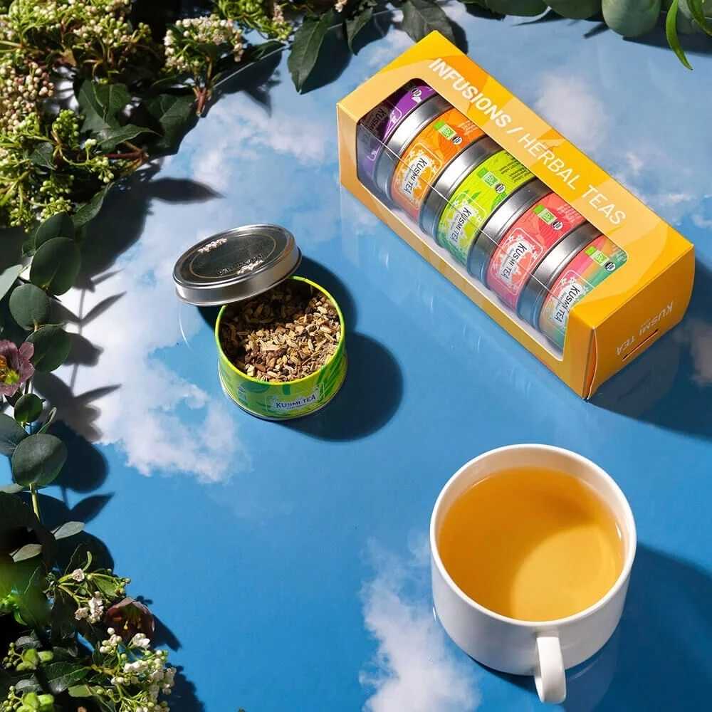 Kusmi Tea Organic Herbal Teas set 5ti miniatur se sítkem 105g