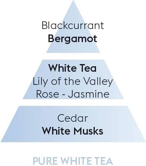 Maison Berger Paris BERGER Pure white tea/Čistý bílý čaj difuzér s náplní kostka 0,125l