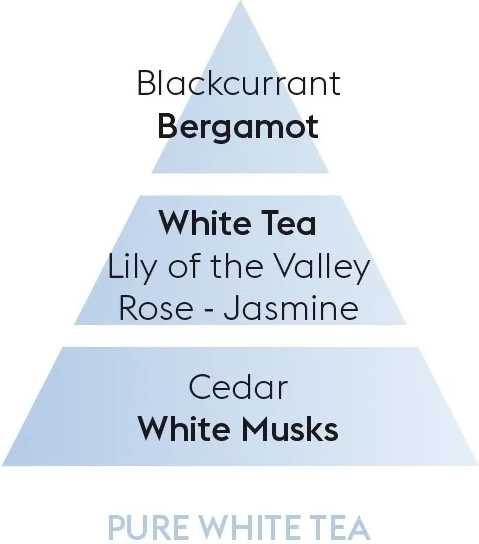 Maison Berger Paris BERGER Pure white tea/Čistý bílý čaj difuzér s náplní kostka 0,125l